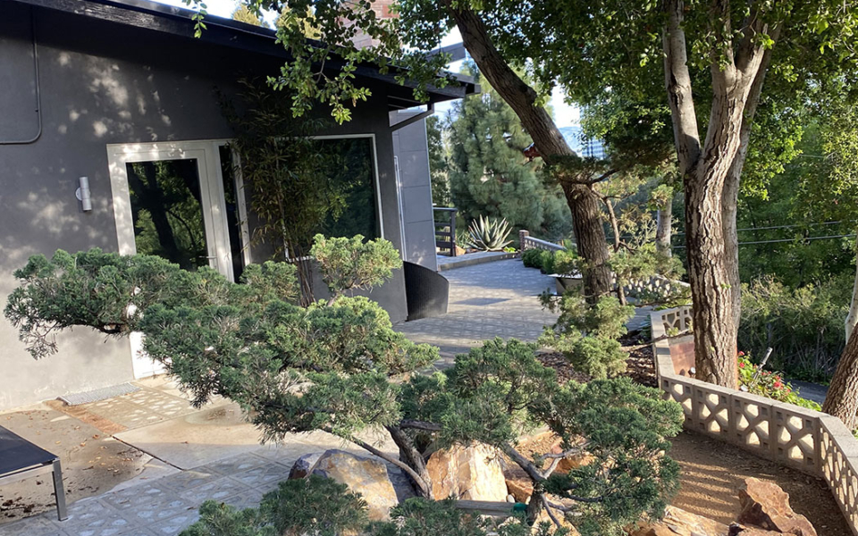 Our Work - Mid Century Modern