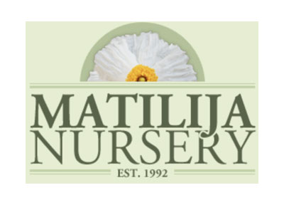 Matilija Nursery